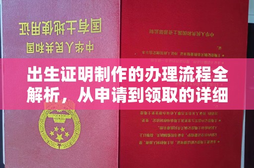 南郑出生证明制作的办理流程全解析，从申请到领取的详细指南